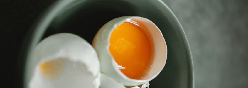 Yumurta Alerjisi Tedavisi