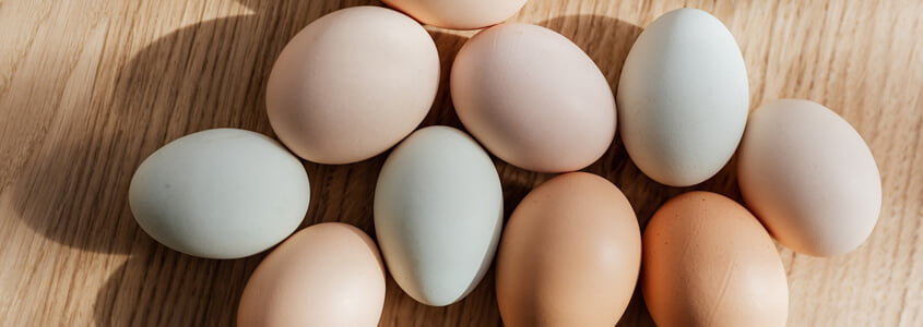 Yumurta Alternatifleri